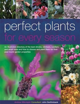 Perfect Plants for Every Season,Andrew Mikolajski, John Swinthin