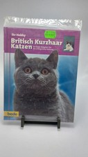 Britisch Kurzhaar Katzen Ratgeber | Ihr Hobby...