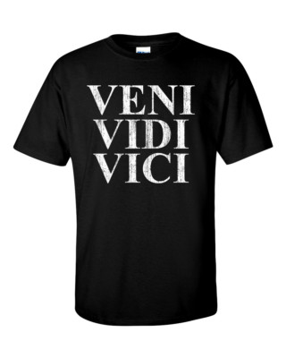 VENI VIDI VICI I Came I Saw I Conquered Roman Distressed Print T-Shirt