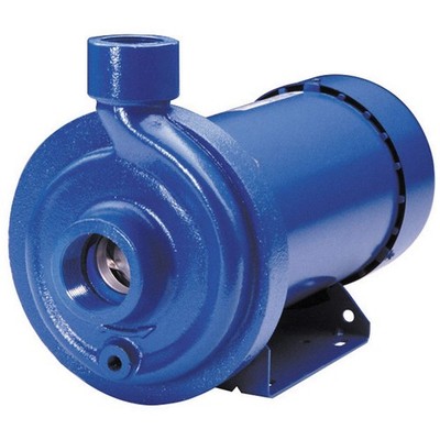 GOULDS WATER TECHNOLOGY 125MC1H2E0 Straight Centrifugal Pump 784RN8