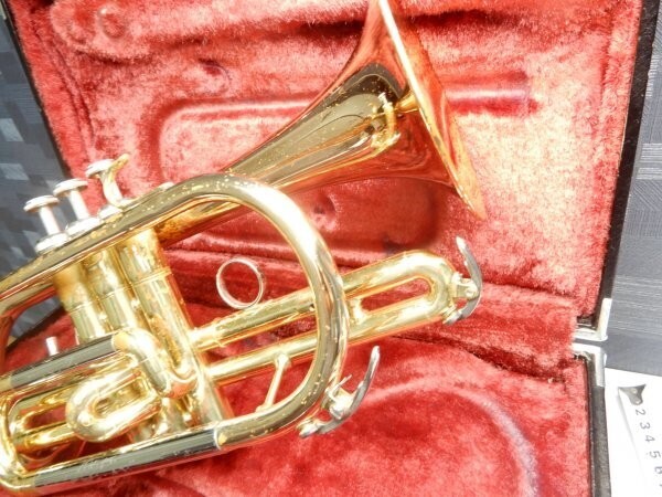 YAMAHA YCR-3330 Cornet Hard Case | eBay
