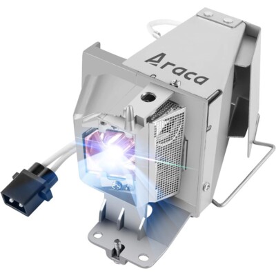 Araca BL-FP190D /SP.73701GC01 (OEM Original Bulb Inside) with Housing for OPTOMA