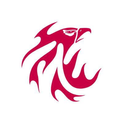 Flame Eagle Head Tribal - Decal Sticker - Multiple Color & Sizes - ebn311