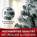 Bild 15 von 32