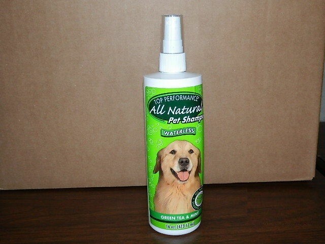 & Mint Shampoo For Dogs & Cats - 16 Oz - New