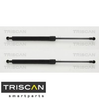 2X Gasfeder FüR Koffer-/Laderaum Triscan 871040229 DäMpfer GasdäMpfer