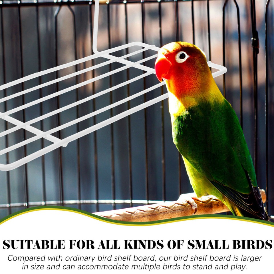 Bird Cage Shelf Birds Shelves Toy Making Accessories Wall Platform