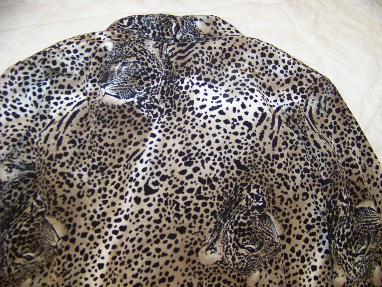 Picture 9 of 11