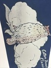 Vintage 1958 Rice Owls University Pennant 10.5x29" Texas Cotton Bowl Football — photo 8