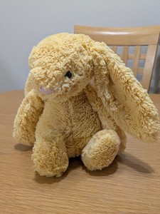 Jellycat Bashful Sunshine Bunny | eBay