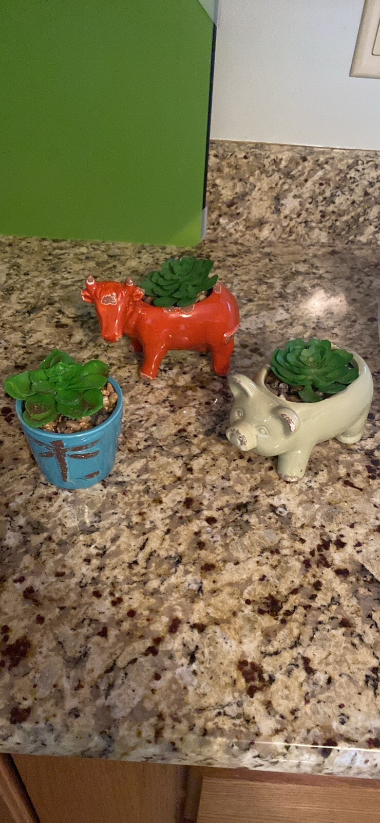 Realistic Artificial Succulent Plants Set of 3-image