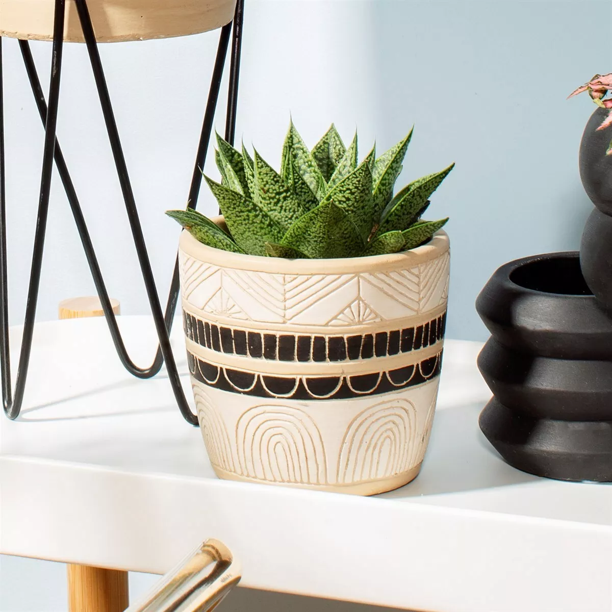 Black and sale white plant pot