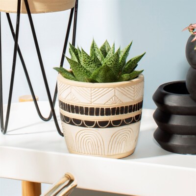 Indoor House Plant Pot Sass & Belle Black & White Sgraffito Planter | eBay
