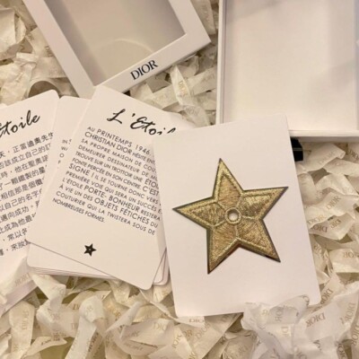 Christian Dior Pin Badge Novelty Limited Gold Star Embroidery