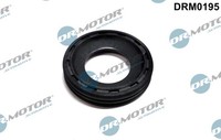 Dr.Motor Automotive DRM0195 Dichtung DüSenhalter FüR Mini