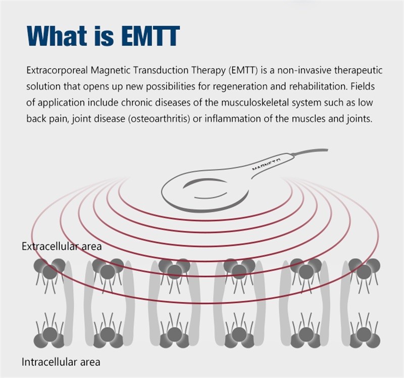 Physical PEMF Magnetic Therapy Magneto EMTT Joint Knee Body Pain Relief Machine