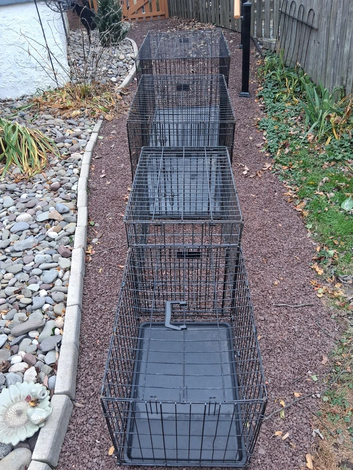 4 jaulas plegables para perros de diferentes tamaños Foto 2 de 4