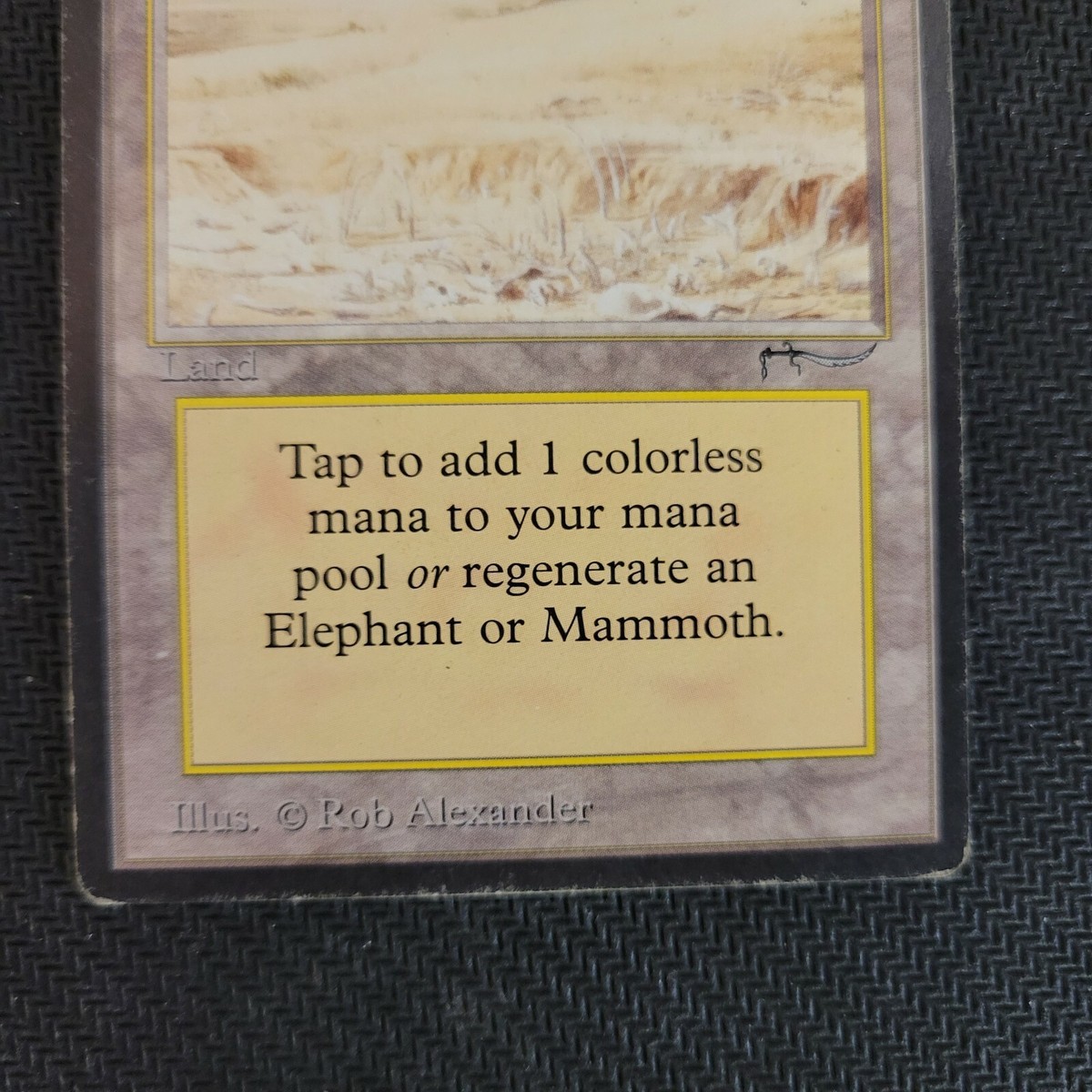 マジック：ザ・ギャザリング MTG Elephant Graveyard マジック：ザ・ギャザリング 日本公式ウェブサイト