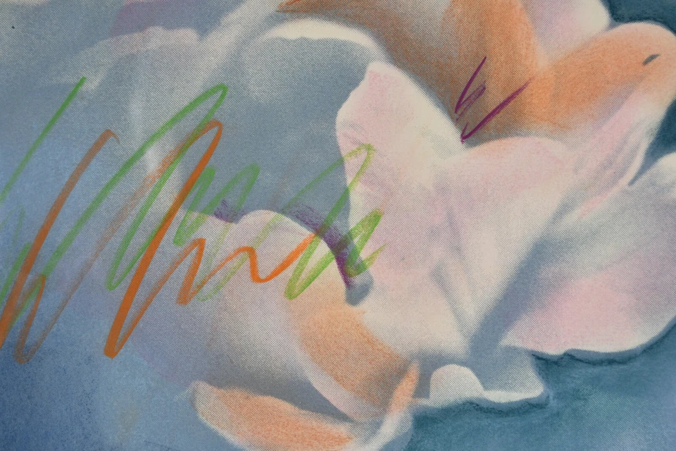 Arte de pared firmado por Susan Singleton de edición limitada con impresión enmarcada de 30" Magnolias Foto 4 de 4