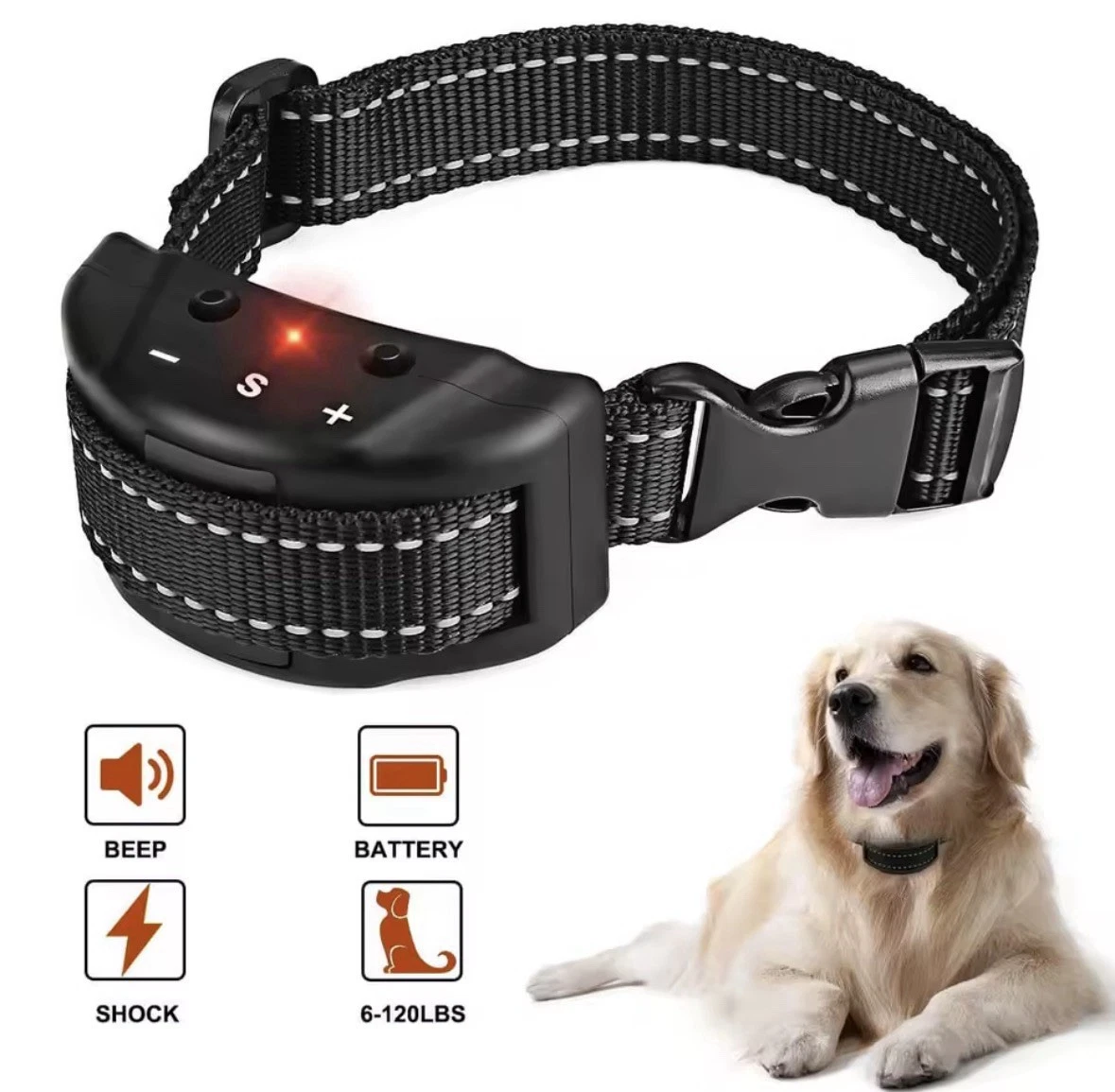 Elektrohalsband fr Hunde online kaufen | eBay.de