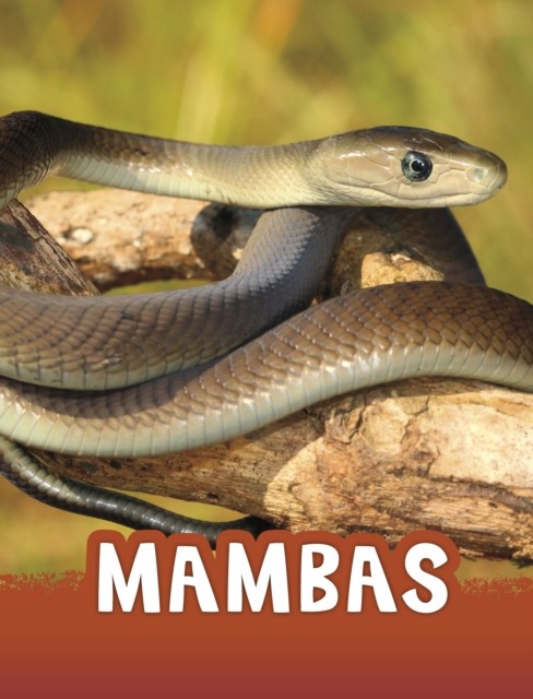 Mambas by Jaclyn Jaycox (Paperback Book)