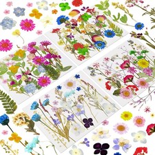 130 Pcs Dried Pressed Flowers for Resin, Real Dry Leaves Bulk Nail Art Craft DIY