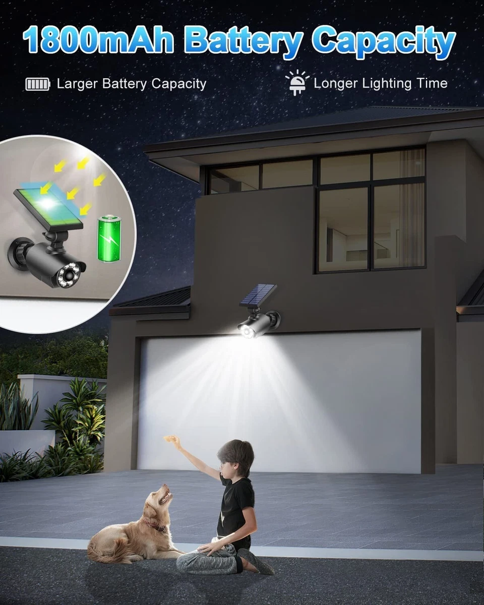 Sezac online solar lights