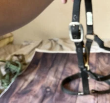 Valhoma Arabian Halter # 3 50 A Black Nylon Full Size Horse Halter 300 To 500 LB