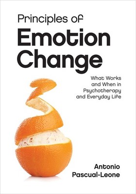 Principles of Emotion Change: What Works and When in Psychotherapy and Everyday