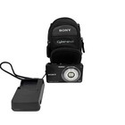 Sony Cyber-shot Dsc-W350 14.1Mp Digital Point/Shoot Camera