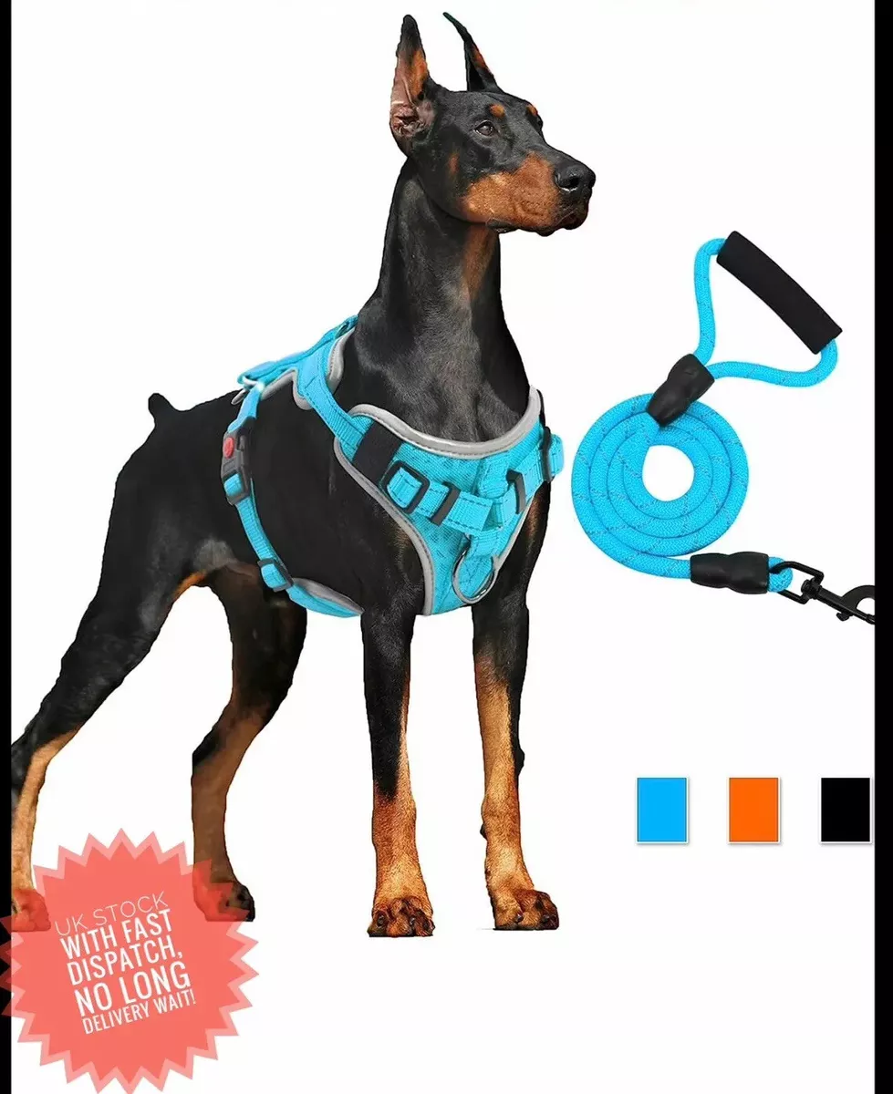 Chest lead harness for cheap dogs