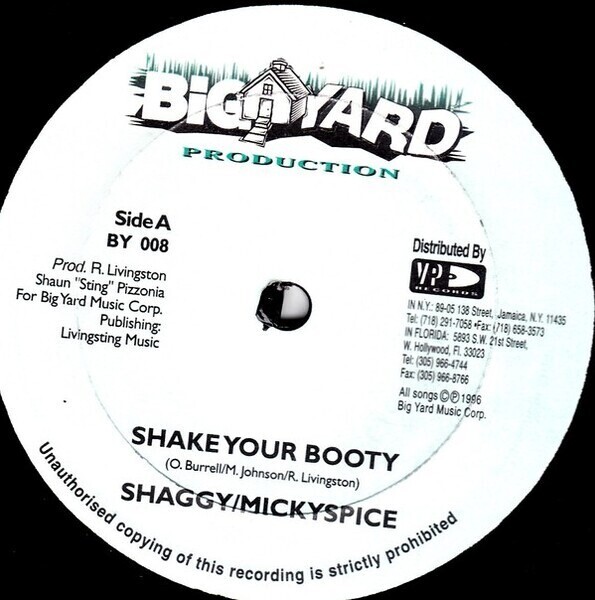 Shaggy / Mikey Spice Shake Your Booty Vinyl Single 12inch Big Yard