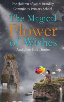 The Magical Flower of Wishes: And Other Short Stories - Paperback NEW School, Ja