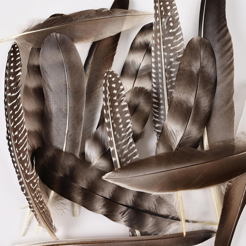Pheasant Feathers -30Pcs 5 Style Natural Mixed Decorative Spotted Feathers for D - Bild 4 von 6