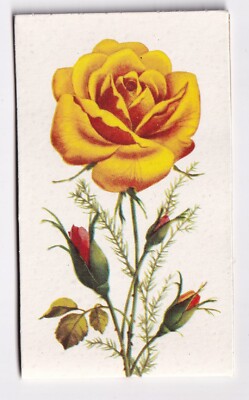 DDR NADELMAPPE Rose 20 Teile Nähnadeln Handnähnadeln Einfädler Nadel, Nadeln VEB