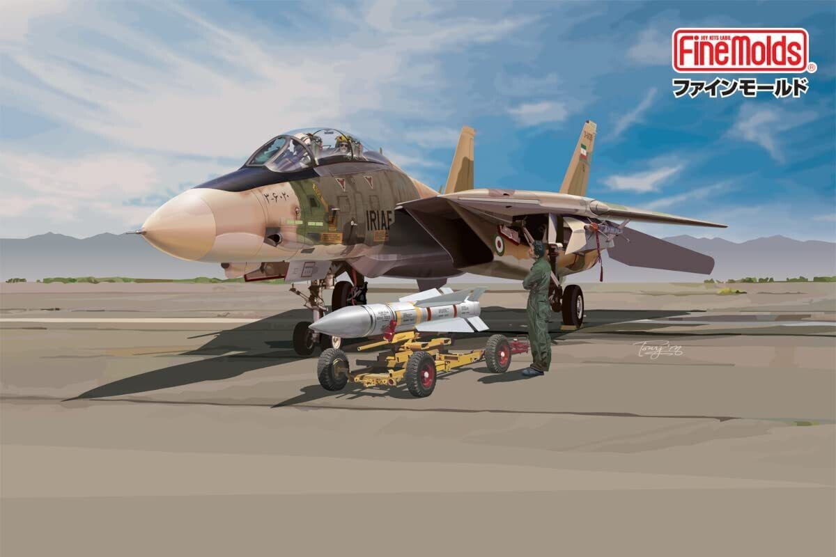 F-14A Tomcat Finemolds maquette plastique 1/72 ailes variables