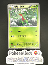 GROVYLE 004/051 1ST ED BW8