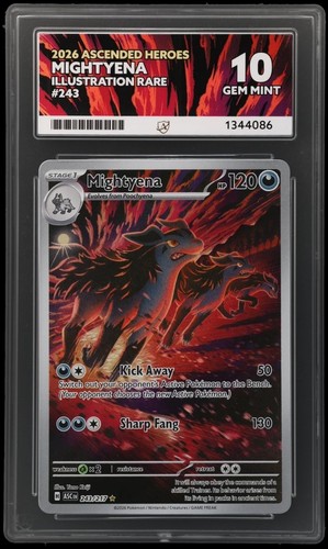 Mightyena graded ACE 10 for sale on eBay