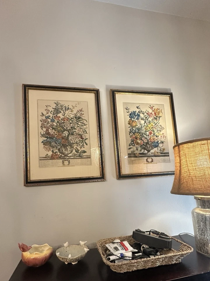 Par de hermosos estampados perriniales Furber (abril y julio) Foto 2 de 4