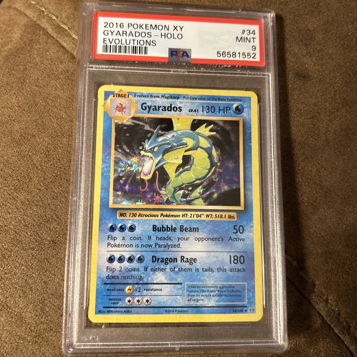 Pokmon TCG Shiny Holo Rare XY Individual Collectible Card Game Cards for  sale | eBay
