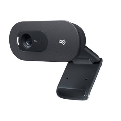 Logitech C505e HD Webcam 1280 x 720 Pixel 30 fps USB (960-001372)