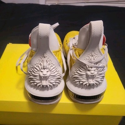Nike LeBron 16 HFR