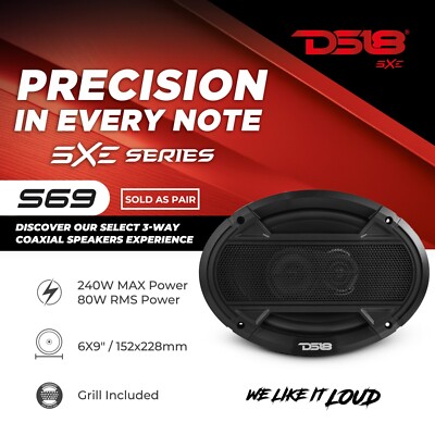 DS18 S69 6x9