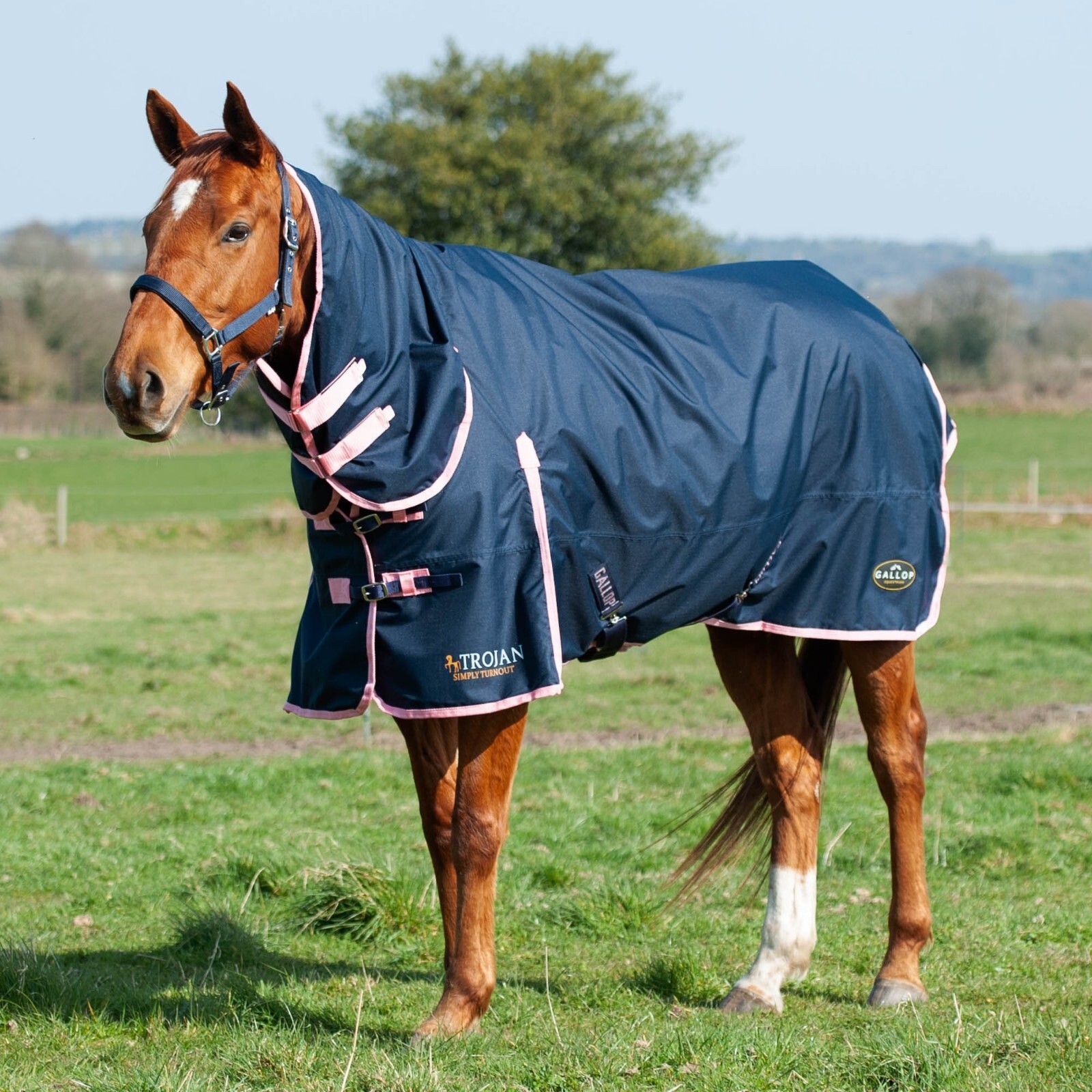 LIGHTWEIGHT TURNOUT RUG 50g Combo Gallop Trojan Full Neck Horse Rug eBay