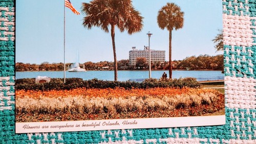 VINTAGE POSTKARTE BLUMEN IM SCHÖNEN ORLANDO FLORIDA. - Bild 7 von 14