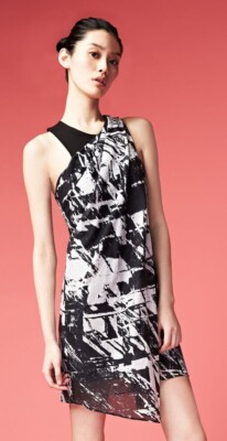 helmut lang black and white dress Helmut Lang Angela Dress in Black
