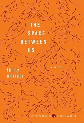 The Space Between Us by Thrity Umrigar: New