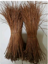 2Lbs Longleaf Pine Needle Bundles (10 to 12 inches) 