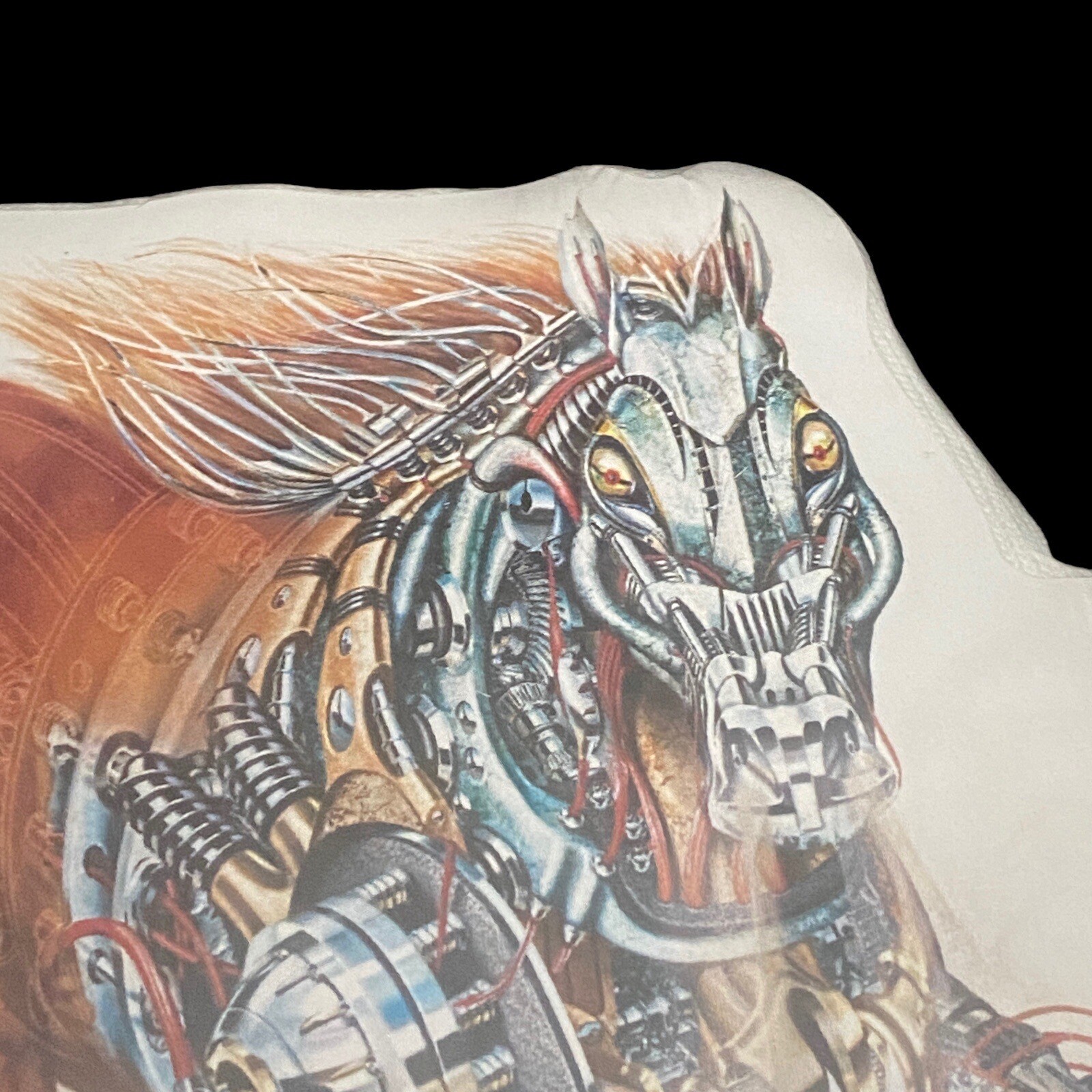 Picture 6 of 10