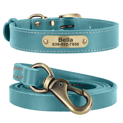 Genuine Leather Personalized Dog Collar and Leash Custom Pet Puppy Cat Name  Tag